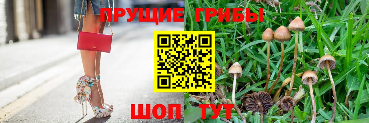 Азнакаево  Псилоцибиновые грибы Magic Shrooms  где продают наркотики  Вход с VPN  Псилоцибиновые грибы Psilocybine cubensis 